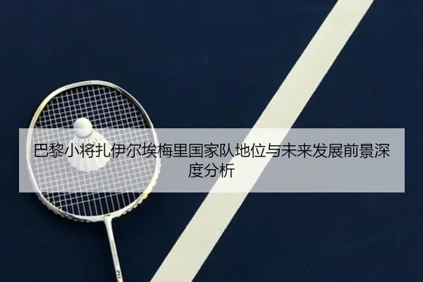 巴黎小将扎伊尔埃梅里国家队地位与未来发展前景深度分析
