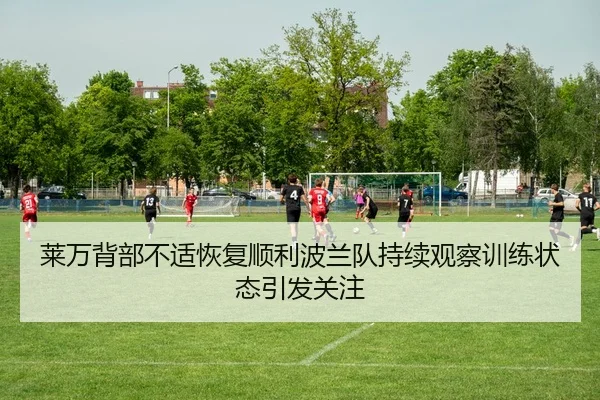 莱万背部不适恢复顺利波兰队持续观察训练状态引发关注